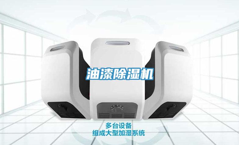 油漆MR.好色破解版
