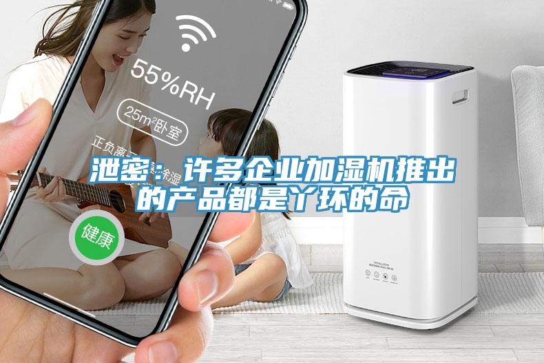 泄密：许多企业加湿机推出的产品都是丫环的命