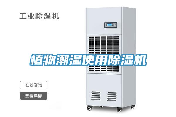 植物潮湿使用MR.好色破解版