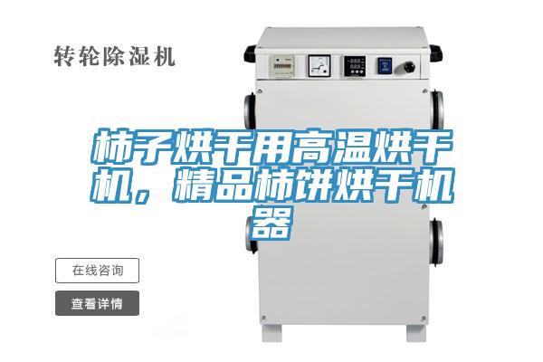 柿子烘干用高温烘干机，精品柿饼烘干机器