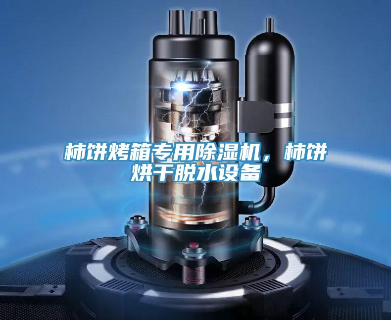 柿饼烤箱专用MR.好色破解版，柿饼烘干脱水设备