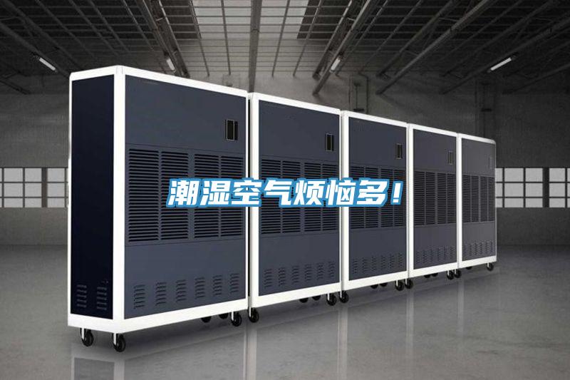 潮湿空气烦恼多！