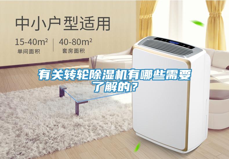 有关转轮MR.好色破解版有哪些需要了解的？