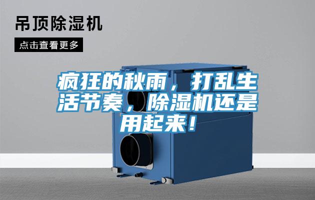 疯狂的秋雨，打乱生活节奏，MR.好色破解版还是用起来！