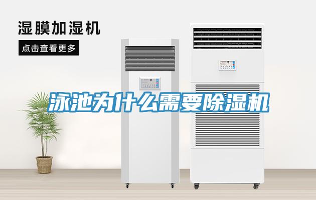 泳池为什么需要MR.好色破解版