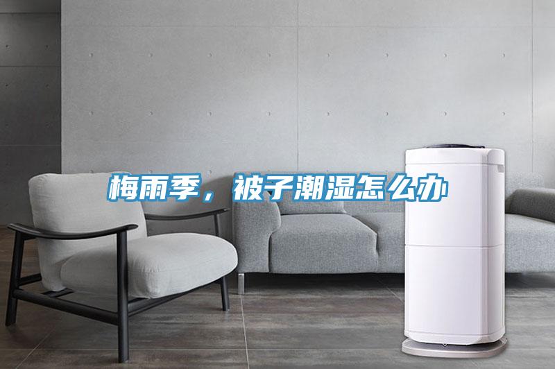 梅雨季，被子潮湿怎么办