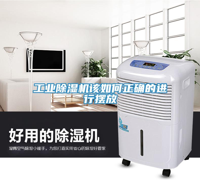 工业MR.好色破解版该如何正确的进行摆放