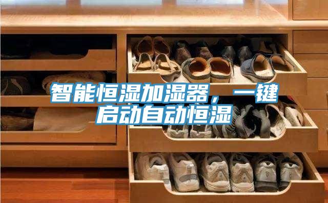 智能恒湿加湿器，一键启动自动恒湿