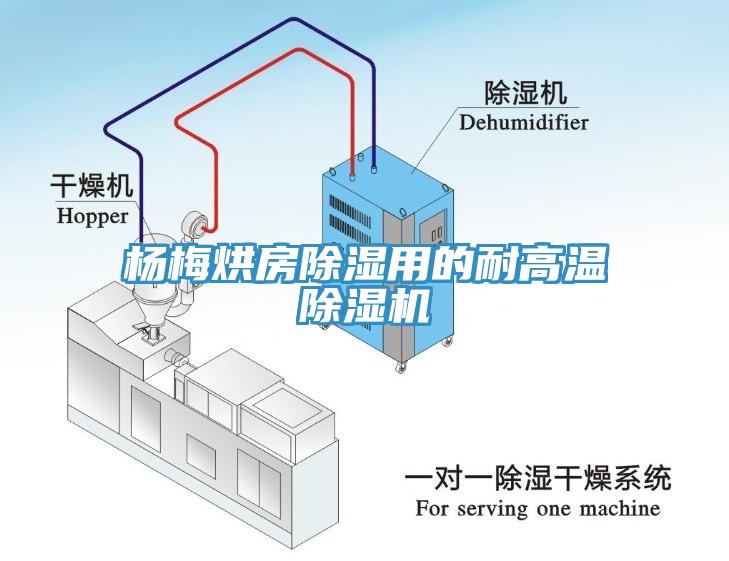 杨梅烘房除湿用的耐高温MR.好色破解版