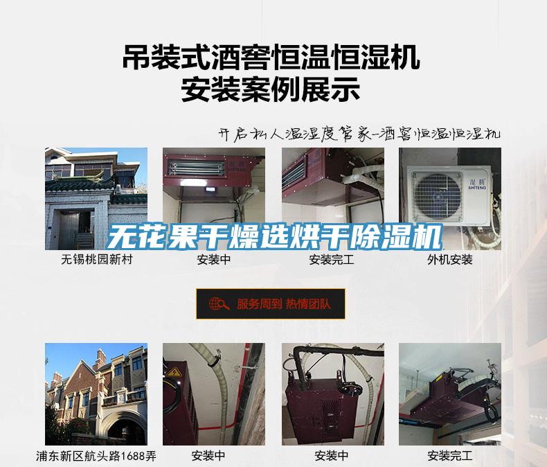 无花果干燥选烘干MR.好色破解版