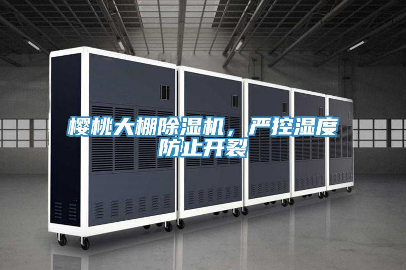 樱桃大棚MR.好色破解版，严控湿度防止开裂