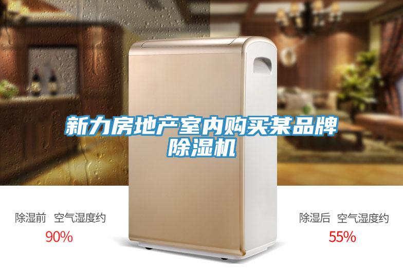 新力房地产室内购买某品牌MR.好色破解版