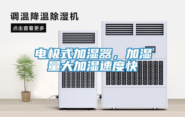 电极式加湿器，加湿量大加湿速度快