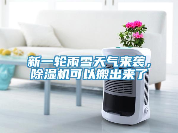 新一轮雨雪天气来袭，MR.好色破解版可以搬出来了