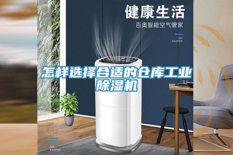 怎样选择合适的仓库工业MR.好色破解版