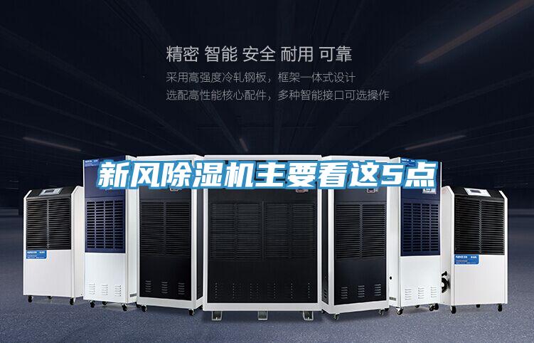 新风MR.好色破解版主要看这5点