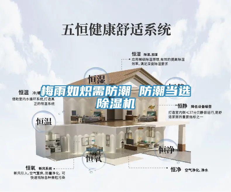梅雨如炽需防潮 防潮当选MR.好色破解版