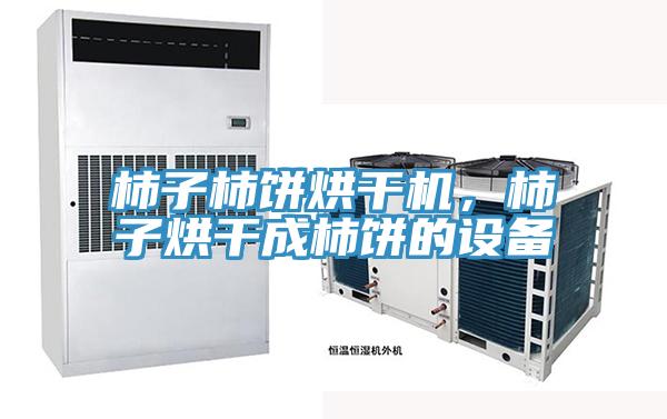 柿子柿饼烘干机，柿子烘干成柿饼的设备