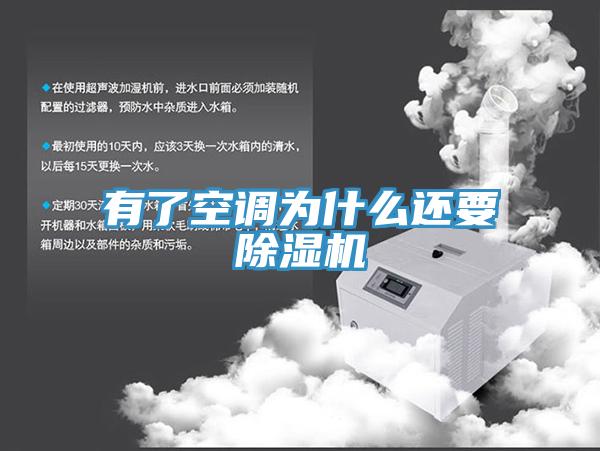 有了空调为什么还要MR.好色破解版