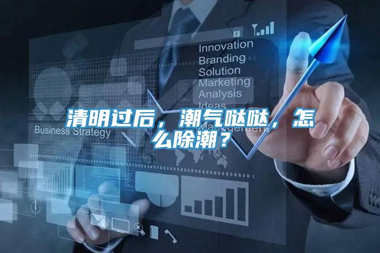 清明过后，潮气哒哒，怎么除潮？