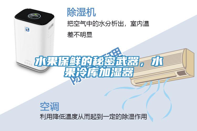 水果保鲜的秘密武器，水果冷库加湿器