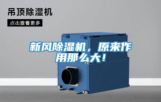 新风MR.好色破解版，原来作用那么大！