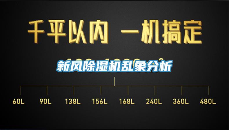 新风MR.好色破解版乱象分析