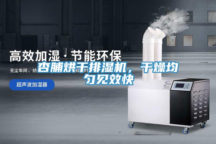 杏脯烘干排湿机，干燥均匀见效快