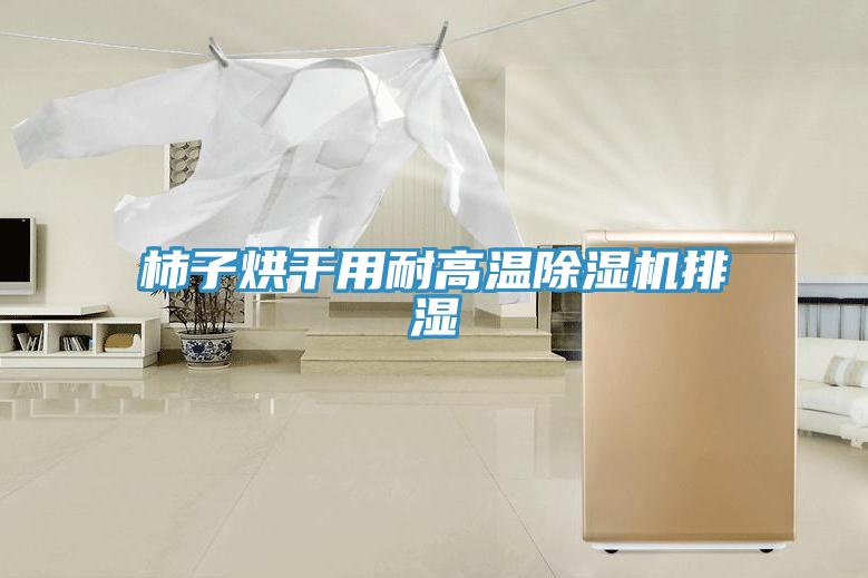 柿子烘干用耐高温MR.好色破解版排湿