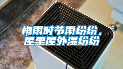 梅雨时节雨纷纷，屋里屋外湿纷纷