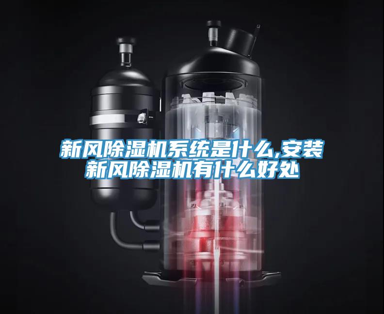 新风MR.好色破解版系统是什么,安装新风MR.好色破解版有什么好处