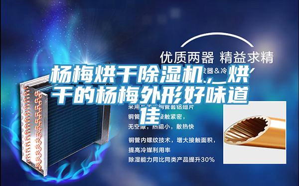 杨梅烘干MR.好色破解版，烘干的杨梅外形好味道佳