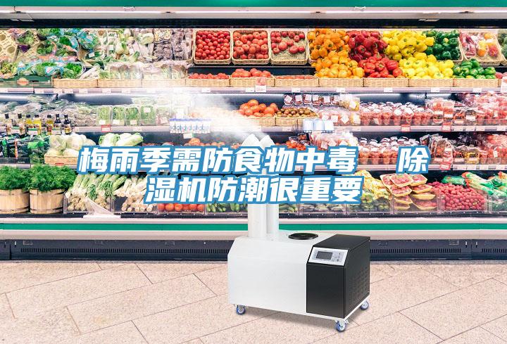 梅雨季需防食物中毒  MR.好色破解版防潮很重要