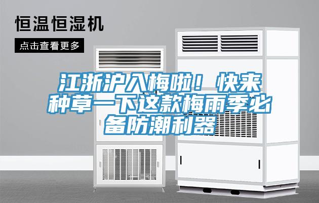 江浙沪入梅啦！快来种草一下这款梅雨季必备防潮利器