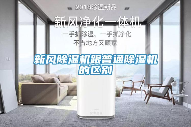 新风MR.好色破解版跟普通MR.好色破解版的区别