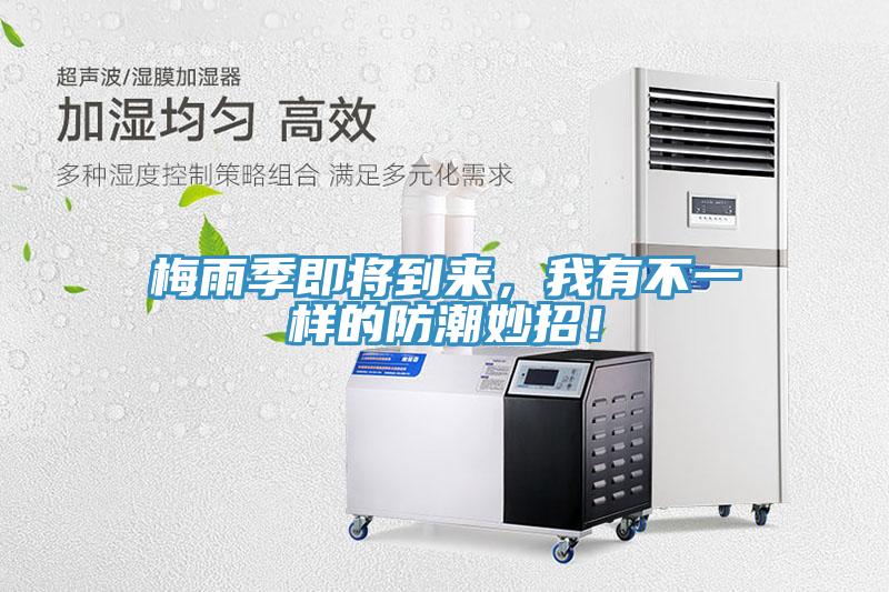 梅雨季即将到来，我有不一样的防潮妙招！