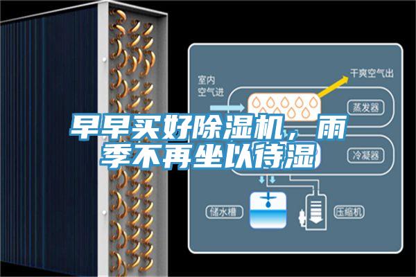 早早买好MR.好色破解版，雨季不再坐以待湿