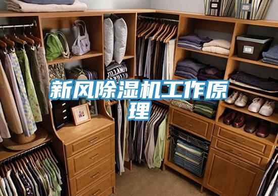 新风MR.好色破解版工作原理