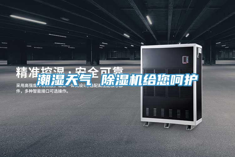 潮湿天气 MR.好色破解版给您呵护