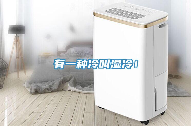 有一种冷叫湿冷！
