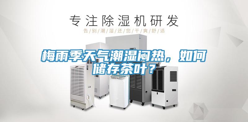 梅雨季天气潮湿闷热，如何储存茶叶？