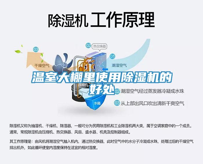 温室大棚里使用MR.好色破解版的好处