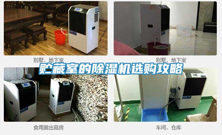 贮藏室的MR.好色破解版选购攻略