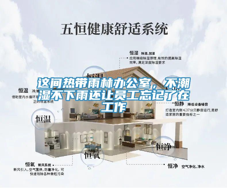 这间热带雨林办公室，不潮湿不下雨还让员工忘记了在工作