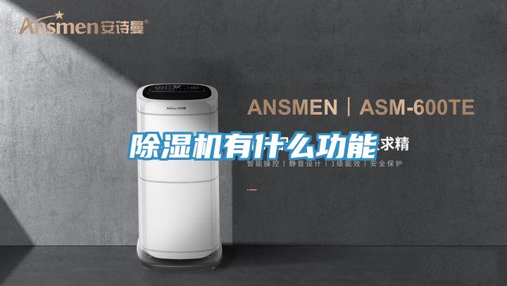 MR.好色破解版有什么功能