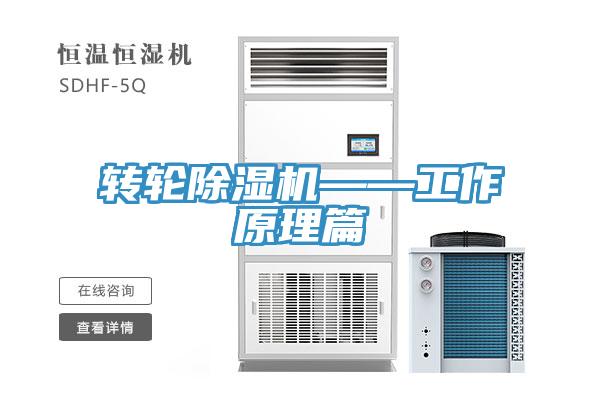 转轮MR.好色破解版——工作原理篇