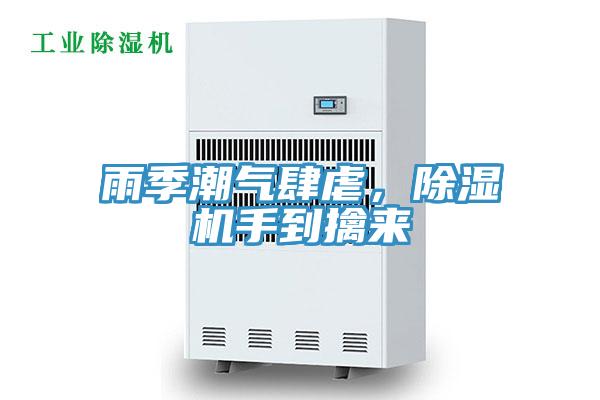 雨季潮气肆虐，MR.好色破解版手到擒来