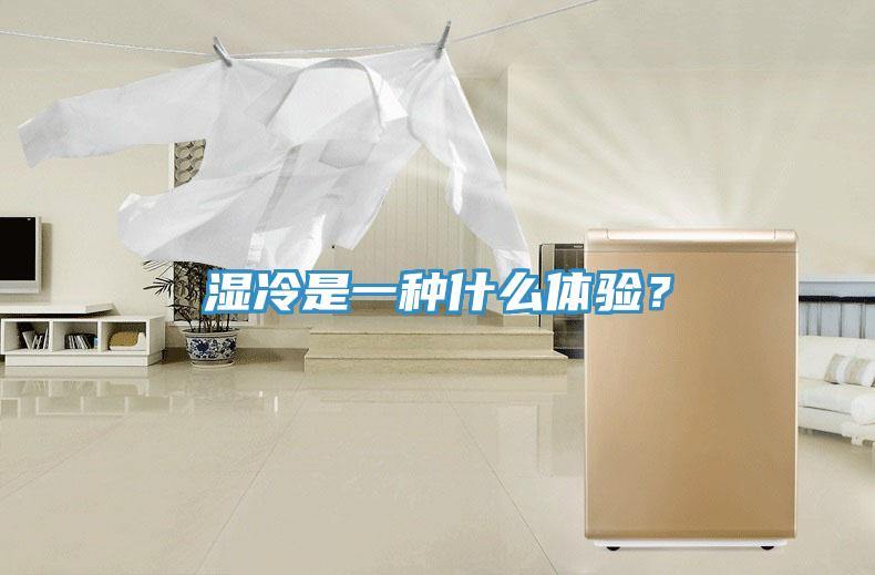 湿冷是一种什么体验？