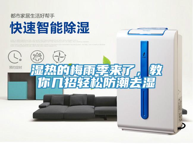 湿热的梅雨季来了，教你几招轻松防潮去湿