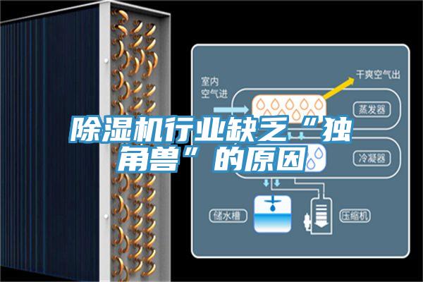 MR.好色破解版行业缺乏“独角兽”的原因